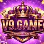 V9 GAME
