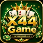 X44 game