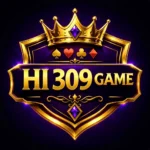 HI309 GAME